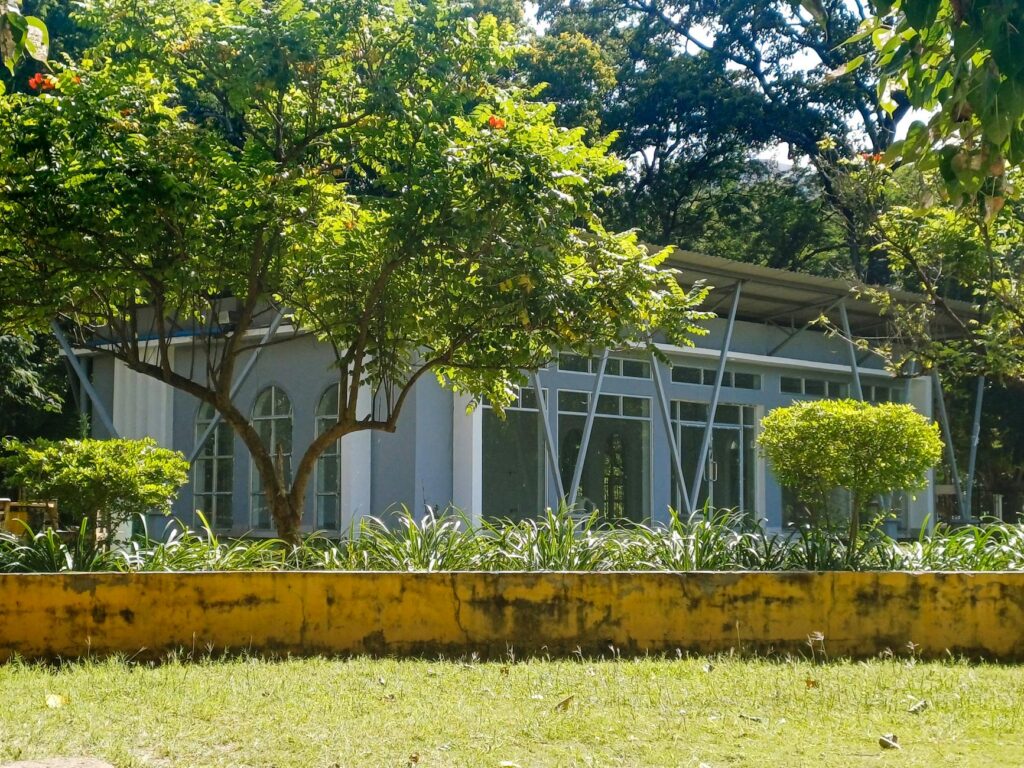 Phân Tích Cổ Phiếu: Tìm Kiếm Viên Ngọc Quý