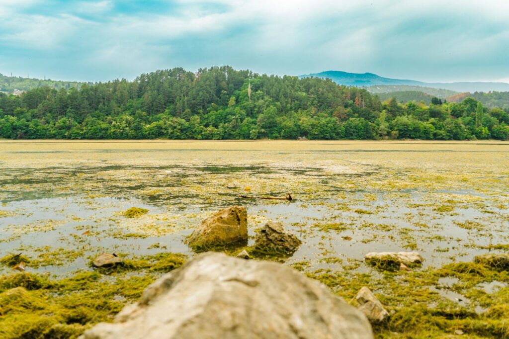Open Banking là gì?