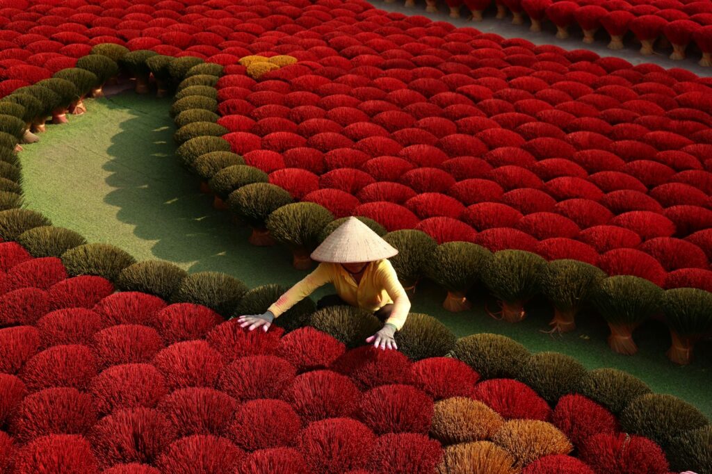 Phân Tích Chi Tiết Về Bối Cảnh Kinh Tế Việt Nam 2024